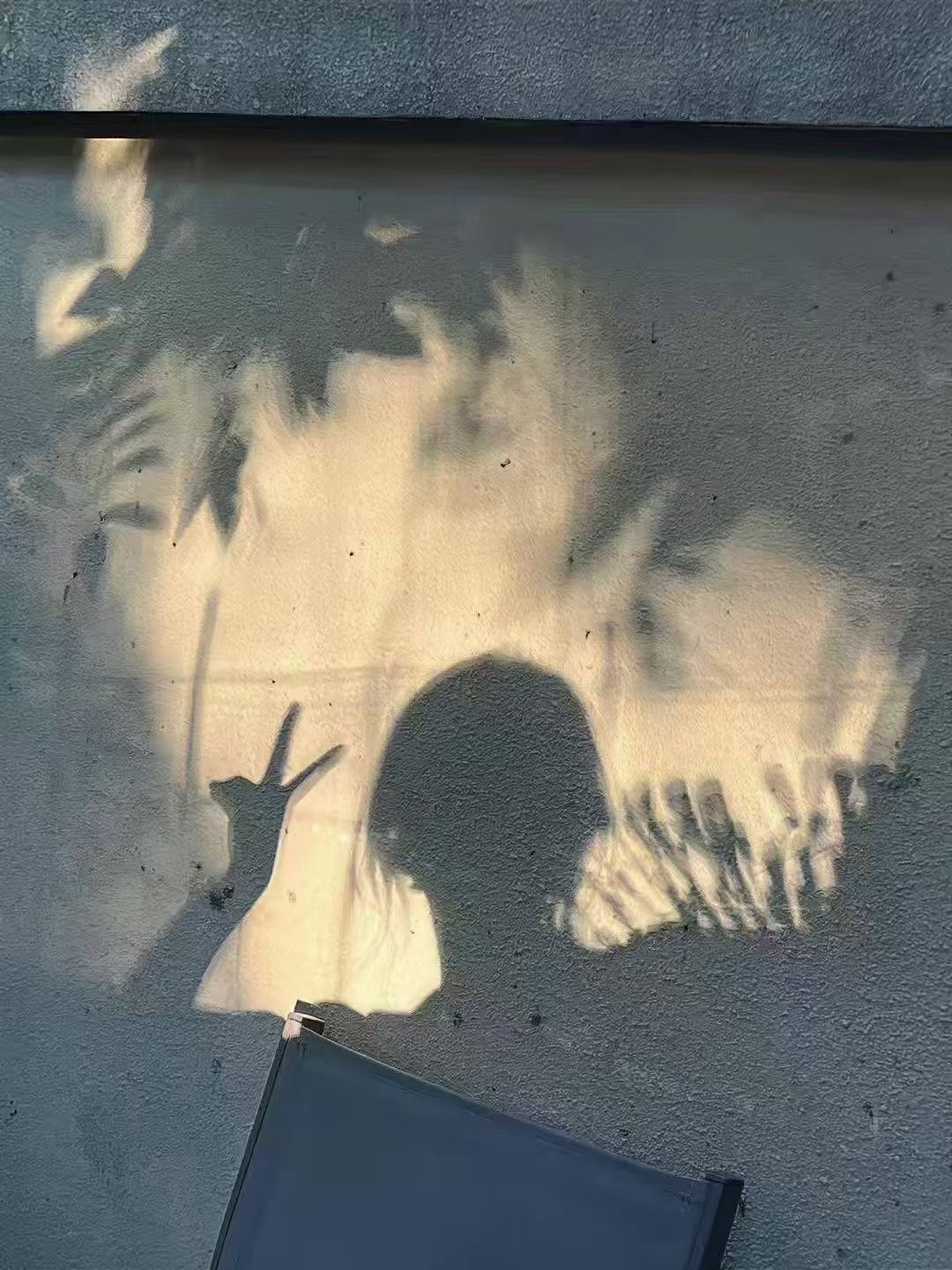 1000055895.jpg
